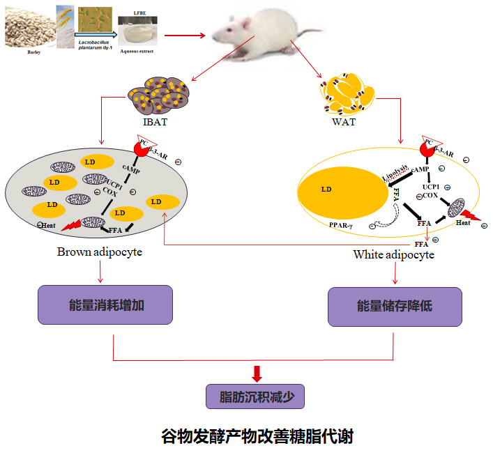 性爱影片