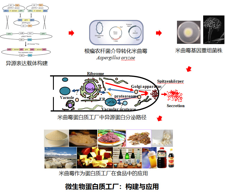 性爱影片